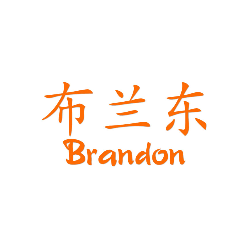 Chinese Symbol Brandon Name - Decal Sticker - Multiple Colors